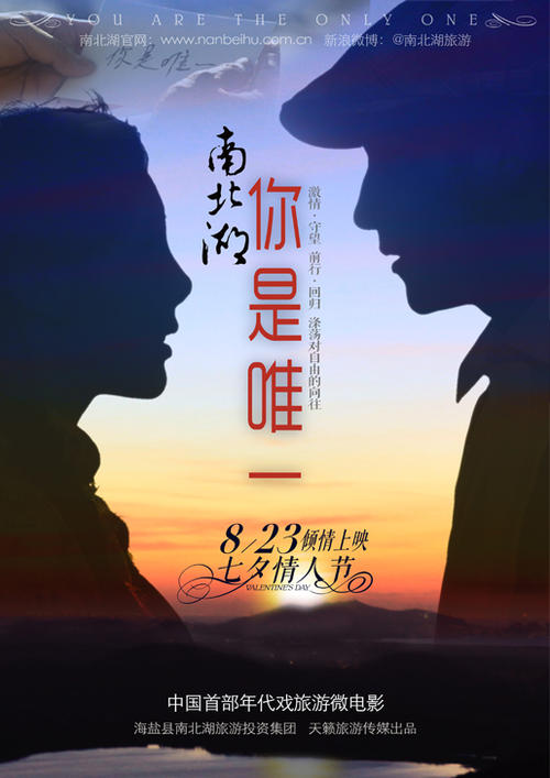 一比一仿萨默塞特艺术科技学院文凭毕业证